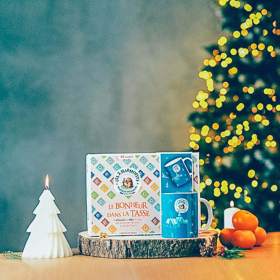 Idée Coffret cadeau noel thés et tisanes avec 1 tasse à décor de noel