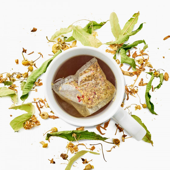 Tasse d'infusion des marmottes avec le sachet dans l'eau et les plantes séchées autour