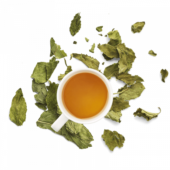 Tasse d'infusion de menthe avec menthe séchée Tasse d'infusion de menthe avec menthe séchée