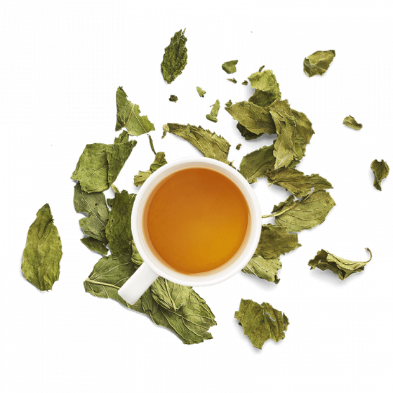 Duo of Mints herbal tea