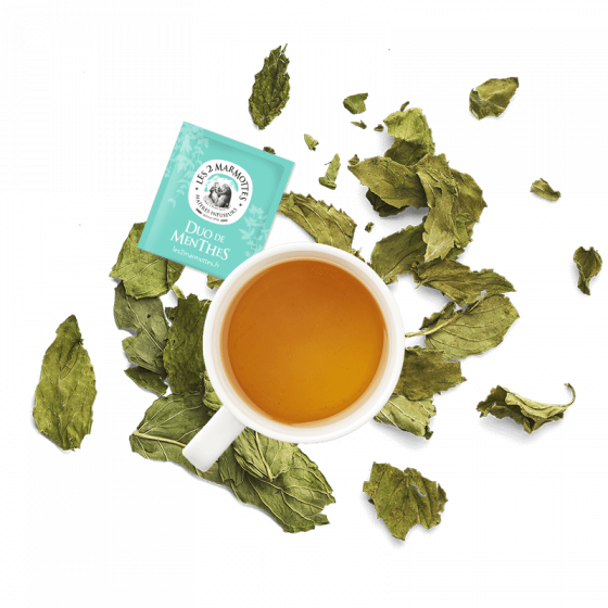 Tasse de tisane aux 2 menthes : menthe douce et menthe poivrée, sans arôme ajouté Tasse de tisane aux 2 menthes : menthe douce et menthe poivrée, sans arôme ajouté