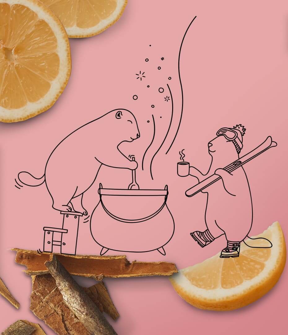Préparation pour vin chaud orange cannelle les 2 marmottes