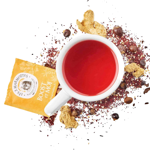 Tisane à l'hibiscus