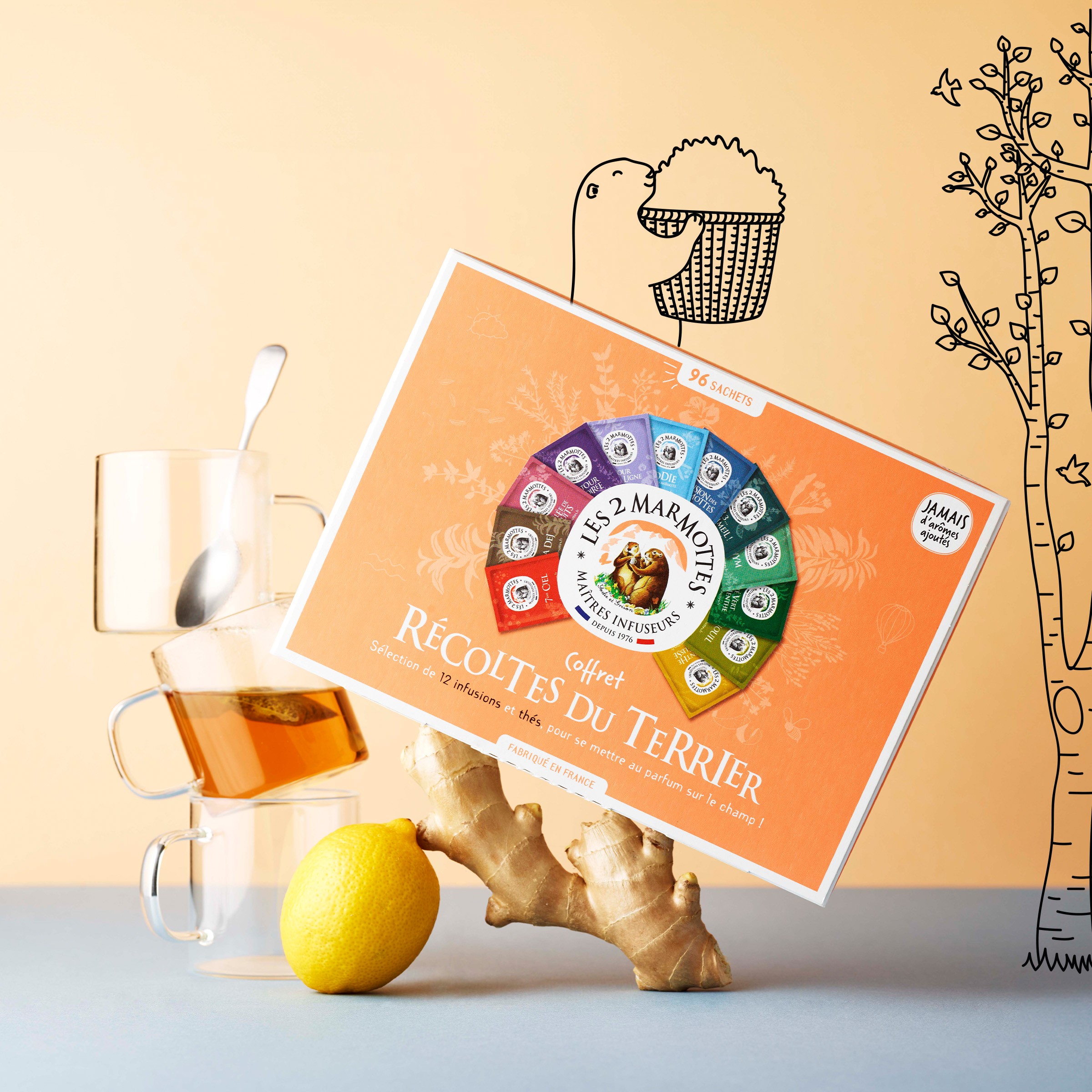 Grand Coffret cadeau infusions et thés 96 sachets Récoltes du terrier