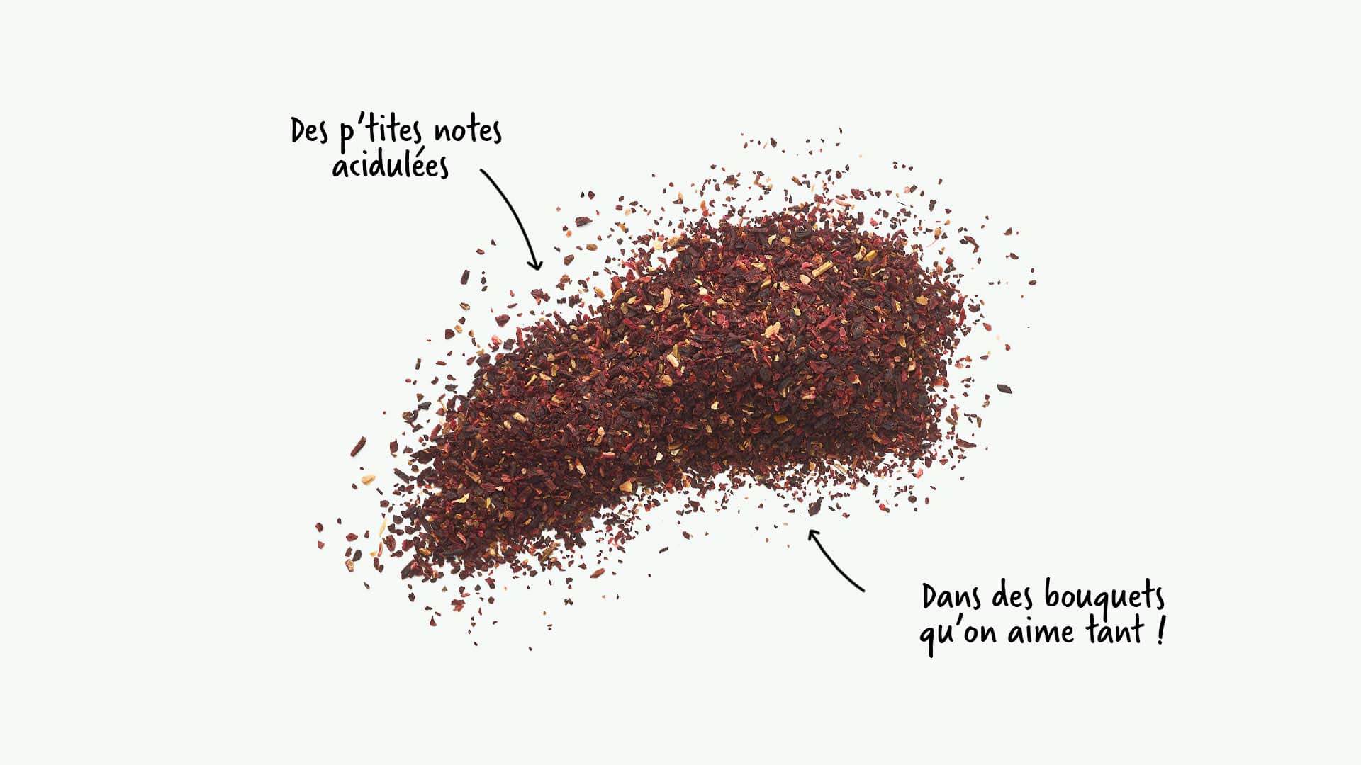 Infusion hibiscus Les 2 Marmottes