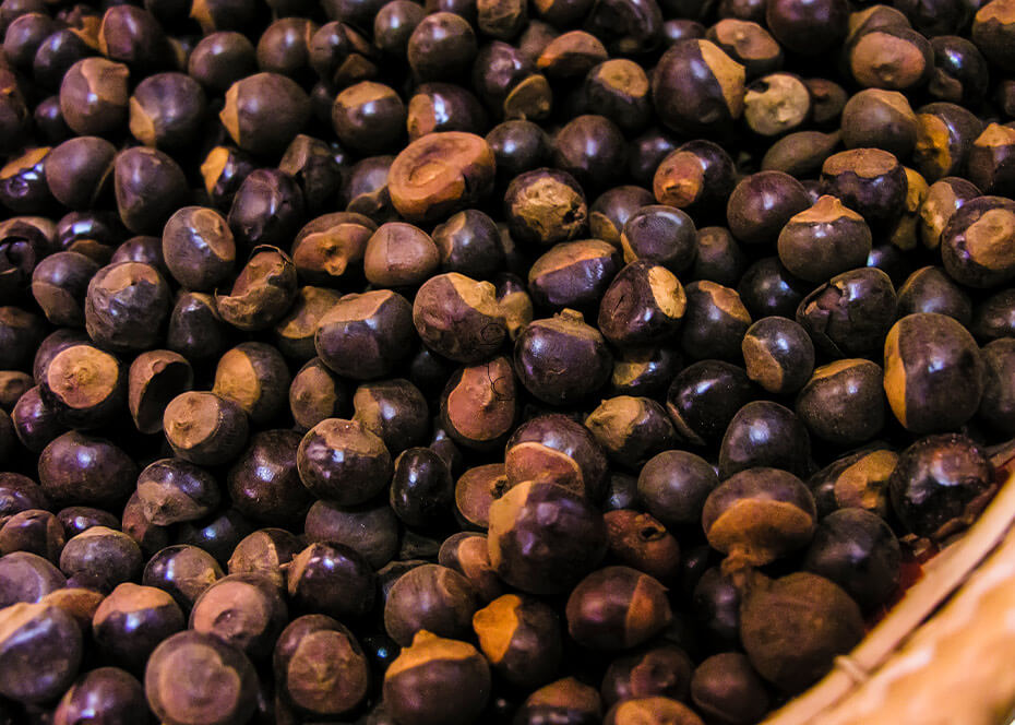 Graines de guarana bio