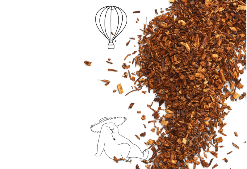 Rooibos, the mysterious red tea