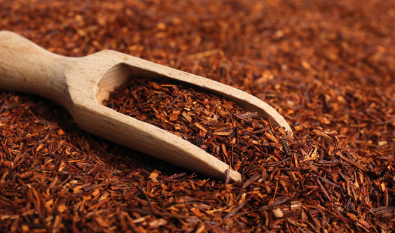 Rooibos, the mysterious red tea
