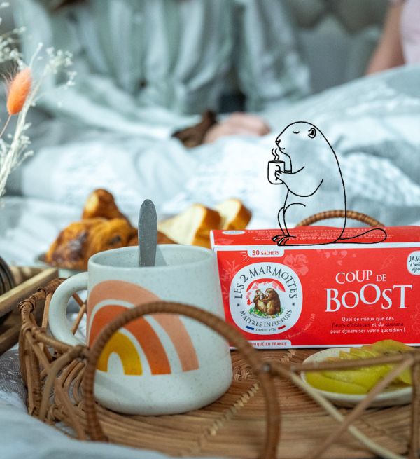 Infusion fleur d'hibiscus pour effet boost énergie