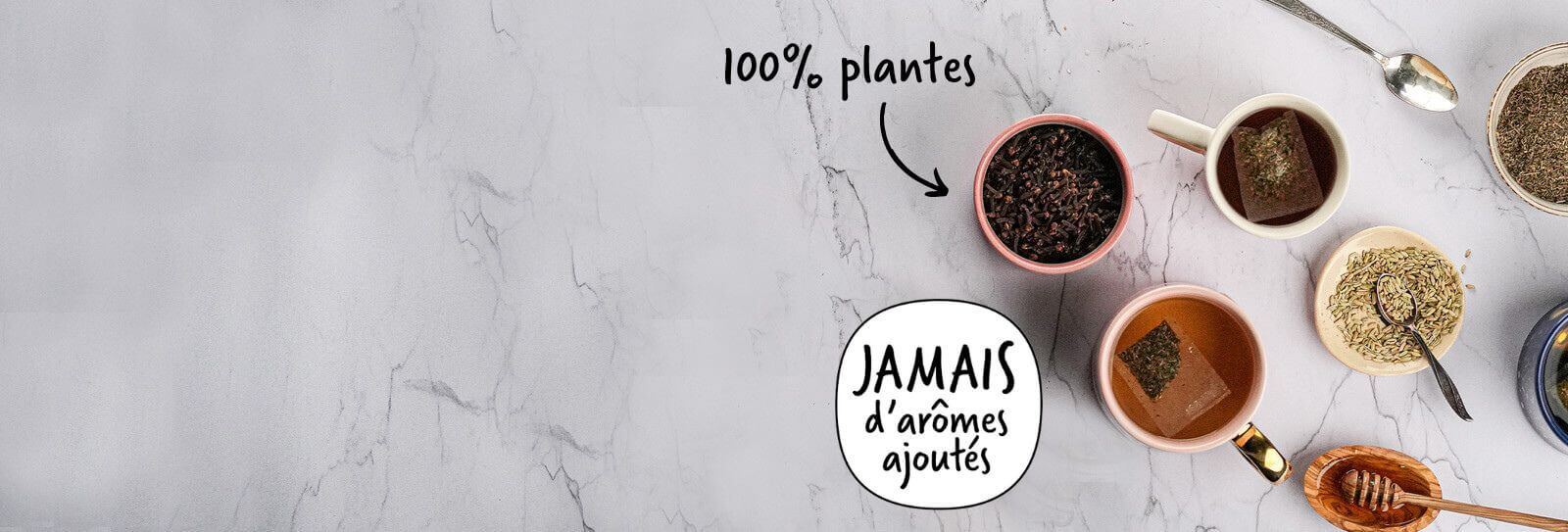 Boîtes d'infusions mises en scène avec 100% plantes et Jamais d'arômes ajoutés